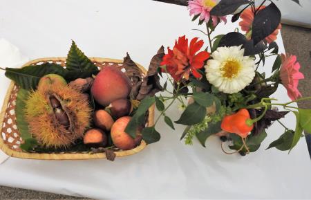 Tekmovanje kuharjev amaterjev v pripravi zdravih jedi (solat) 20